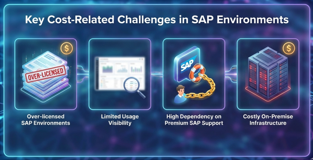 SAP Cost Challenges